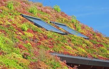 Parsons Heath living roof systems
