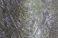 Parsons Heath fibreglass roof work